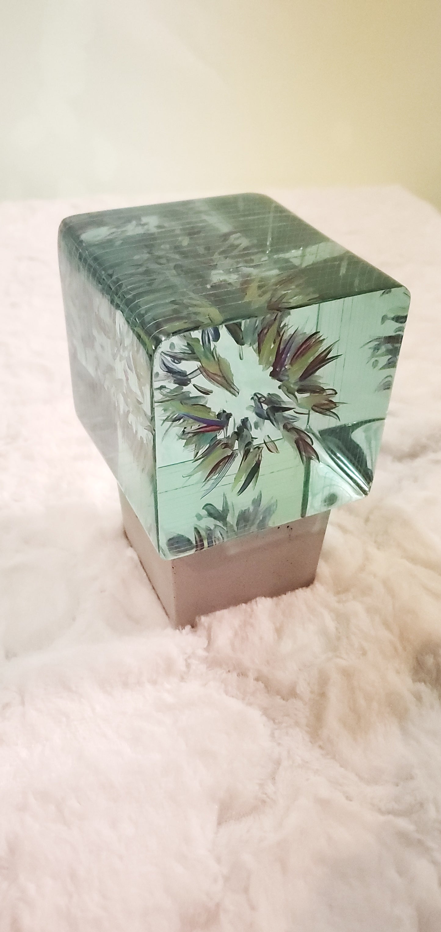 Blossom Cube